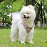 Soft Breathable Pet Harness & Leash Set – Reflective, Lightweight & Stylish (XS–XL)